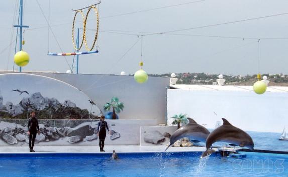 Севастопольский дельфинарий попросили «с вещами на выход». Возможно, место освобождают для одесситов?